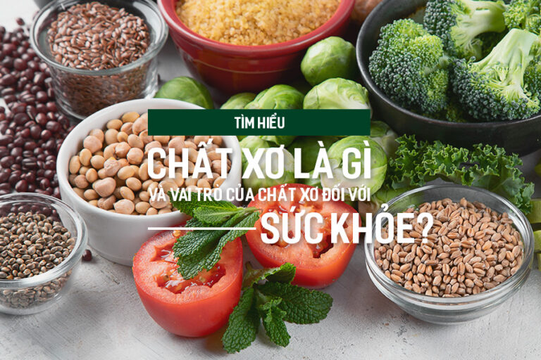 Tìm hiểu chất xơ là gì và vai trò của chất xơ đối với sức khỏe