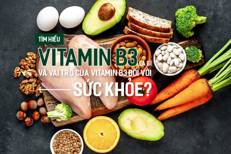 T M Hi U Vitamin B L G V Vai Tr C A Vitamin B I V I S C Kh E