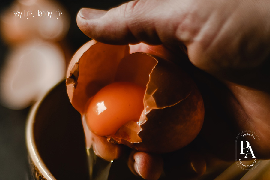 Làm sao để trở thành HLV sức khỏe và dinh dưỡng?, PlansbyAnh