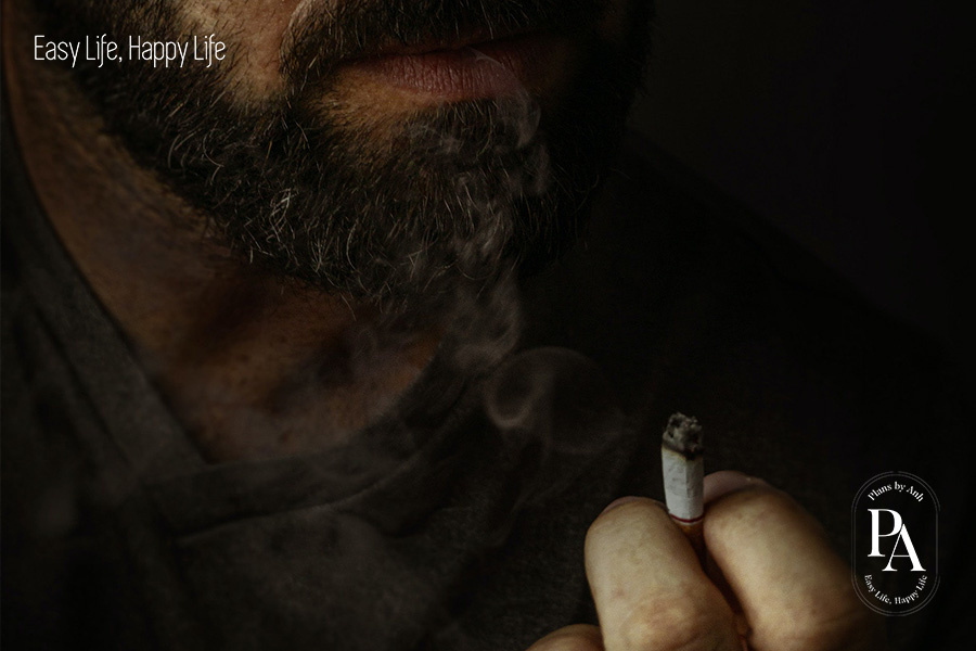 Lối sống lành mạnh là gì? Làm sao để có lối sống lành mạnh?, PlansbyAnh