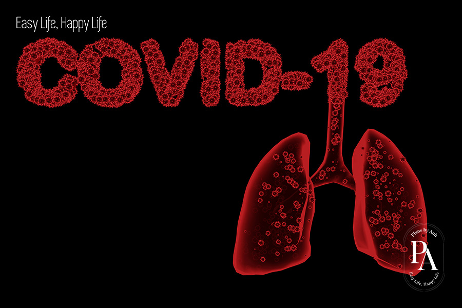 V&igrave; sao t&ocirc;i chọn c&ocirc;ng việc chăm s&oacute;c sức khỏe?, PlansbyAnh