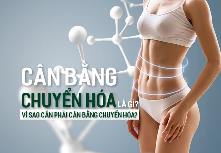 Cân Bằng Chuyển Hóa là gì? Vì sao cần phải cân bằng chuyển hóa?