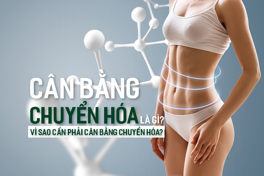 Cân Bằng Chuyển Hóa là gì? Vì sao cần phải cân bằng chuyển hóa?
