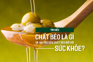 X&eacute;t nghiệm m&aacute;u l&agrave; g&igrave;? C&aacute;ch đọc chỉ số x&eacute;t nghiệm m&aacute;u, PlansbyAnh