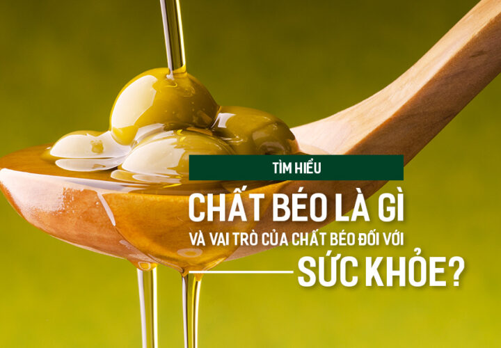Tìm hiểu chất béo là gì và vai trò của chất béo đối với sức khỏe?