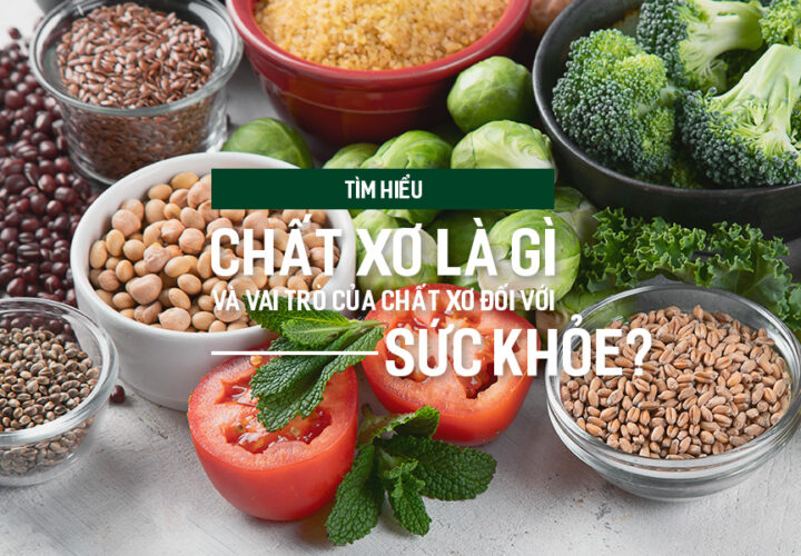 Tìm hiểu chất xơ là gì và vai trò của chất xơ đối với sức khỏe?