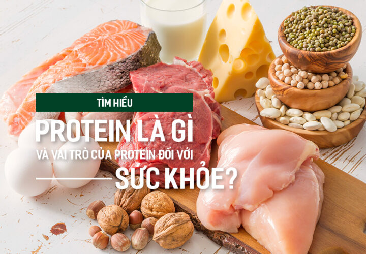 Tìm hiểu Protein là gì và vai trò của Protein đối với sức khỏe?