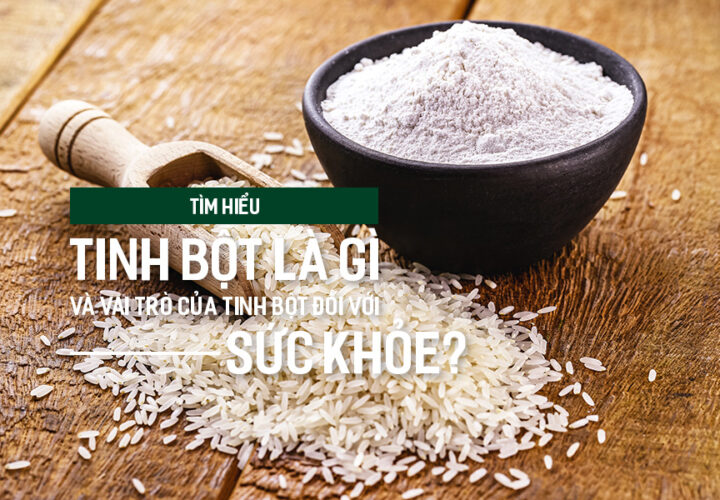 Tìm hiểu tinh bột là gì và vai trò của tinh bột đối với sức khỏe?