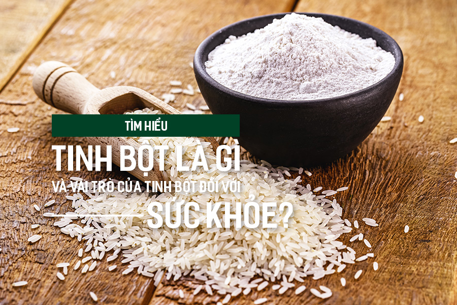 Tìm hiểu tinh bột là gì và vai trò của tinh bột đối với sức khỏe?, PlansbyAnh