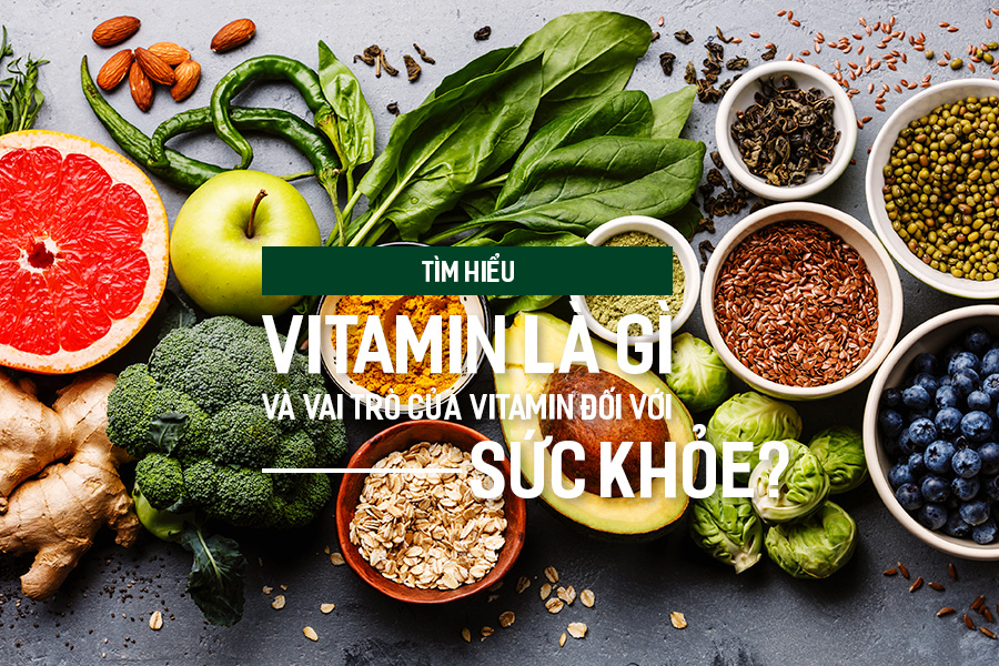 Tìm hiểu Vitamin là gì và vai trò của Vitamin đối với sức khỏe?, PlansbyAnh