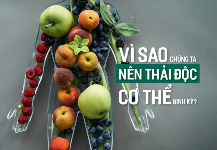 Vì sao chúng ta nên thải độc cơ thể định kỳ?