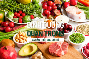 Tìm hiểu Kẽm là gì và vai trò của Kẽm đối với sức khỏe?, PlansbyAnh