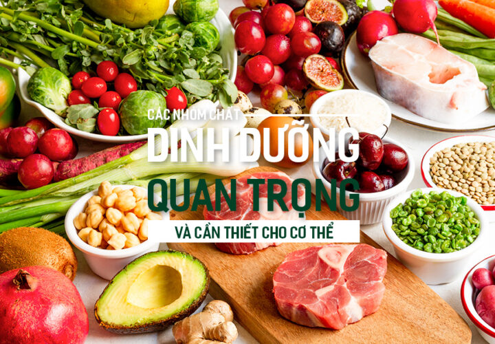 Các nhóm chất dinh dưỡng quan trọng và cần thiết cho cơ thể.