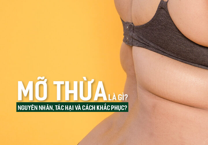 Mỡ thừa là gì? Nguyên nhân, tác hại và cách khắc phục?