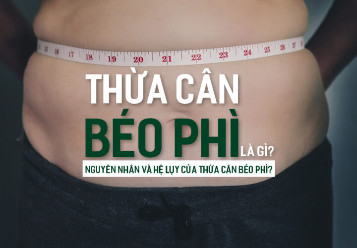 Thừa cân béo phì là gì? Nguyên nhân và hệ lụy của thừa cân béo phì?