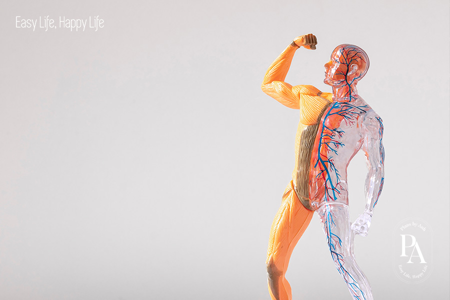 Tìm hiểu Protein là gì và vai trò của Protein đối với sức khỏe?