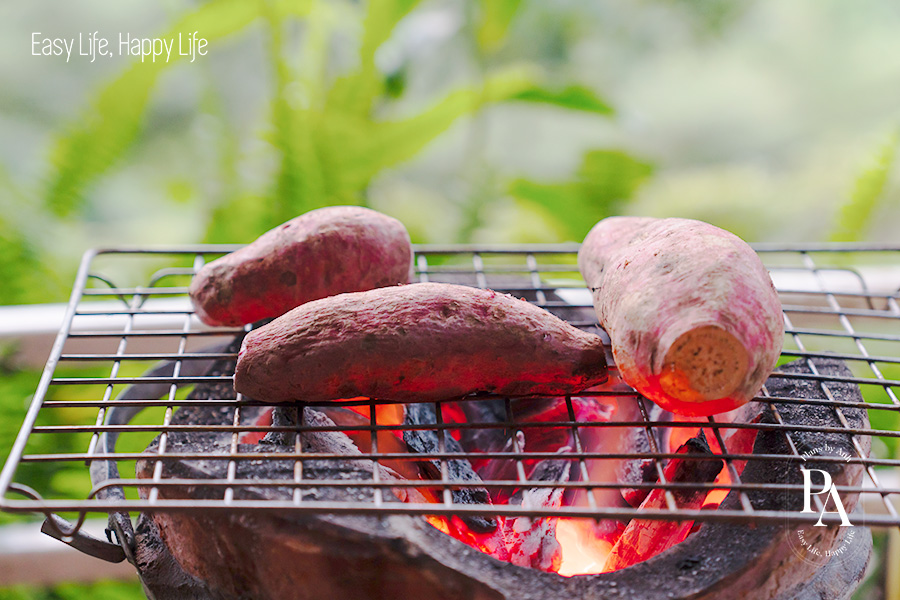 Tìm hiểu tinh bột là gì và vai trò của tinh bột đối với sức khỏe?