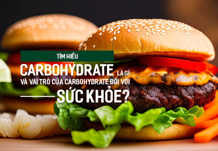 Tìm hiểu Carbohydrate là gì và vai trò của Carbohydrate đối với sức khỏe?