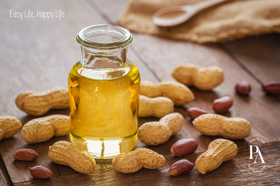 Tìm hiểu chất sinh năng lượng là gì và vai trò đối với sức khỏe?, PlansbyAnh