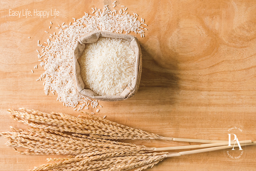 Tìm hiểu chất sinh năng lượng là gì và vai trò đối với sức khỏe?, PlansbyAnh