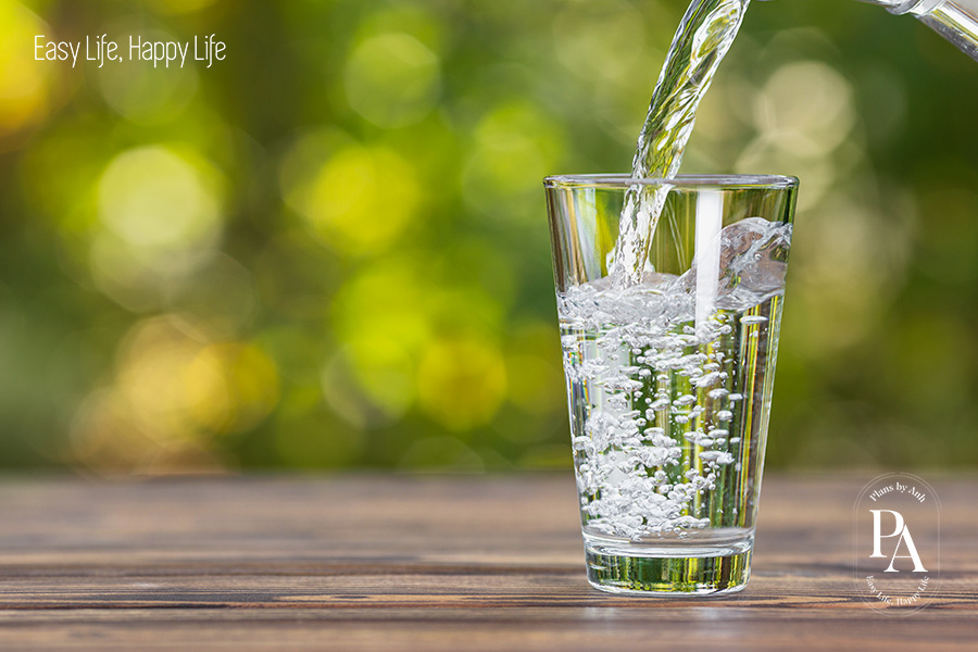 Những lợi ích không ngờ của việc uống đủ nước mỗi ngày?, PlansbyAnh