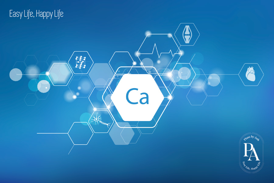 Tìm hiểu Canxi là gì và vai trò của Canxi đối với sức khỏe?, PlansbyAnh