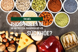 Tìm hiểu Phosphor là gì và vai trò của Phosphor đối với sức khỏe? Tìm hiểu Phosphor là gì và vai trò của Phosphor đối với sức khỏe?