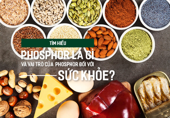 Tìm hiểu Phosphor là gì và vai trò của Phosphor đối với sức khỏe?