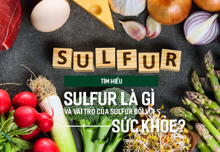 Tìm hiểu Sulfur là gì và vai trò của Sulfur đối với sức khỏe?