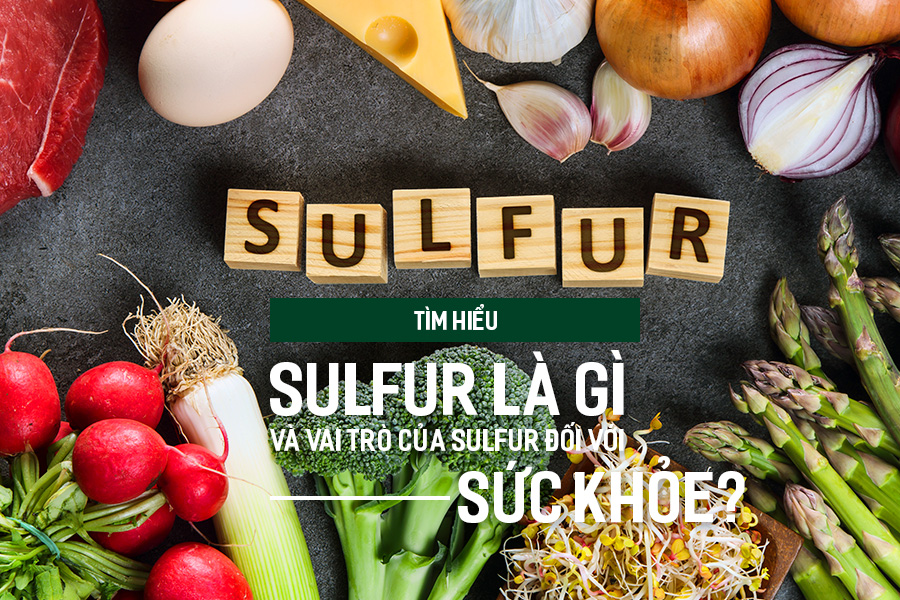 Tìm hiểu Sulfur là gì và vai trò của Sulfur đối với sức khỏe?, PlansbyAnh