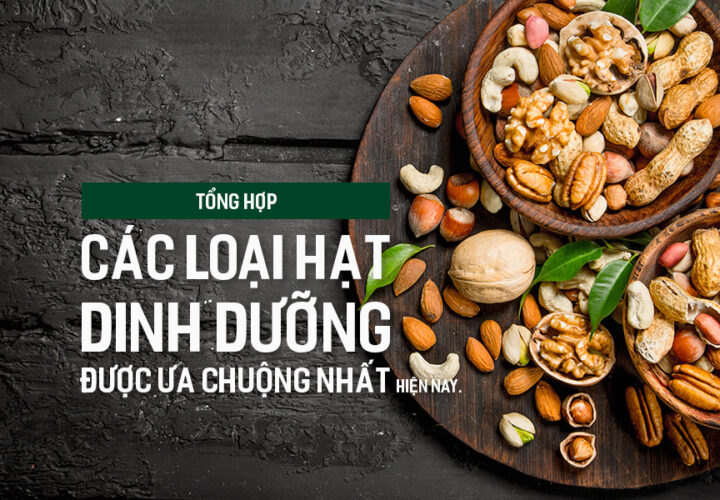 Tổng hợp các loại hạt dinh dưỡng được ưa chuộng nhất hiện nay.