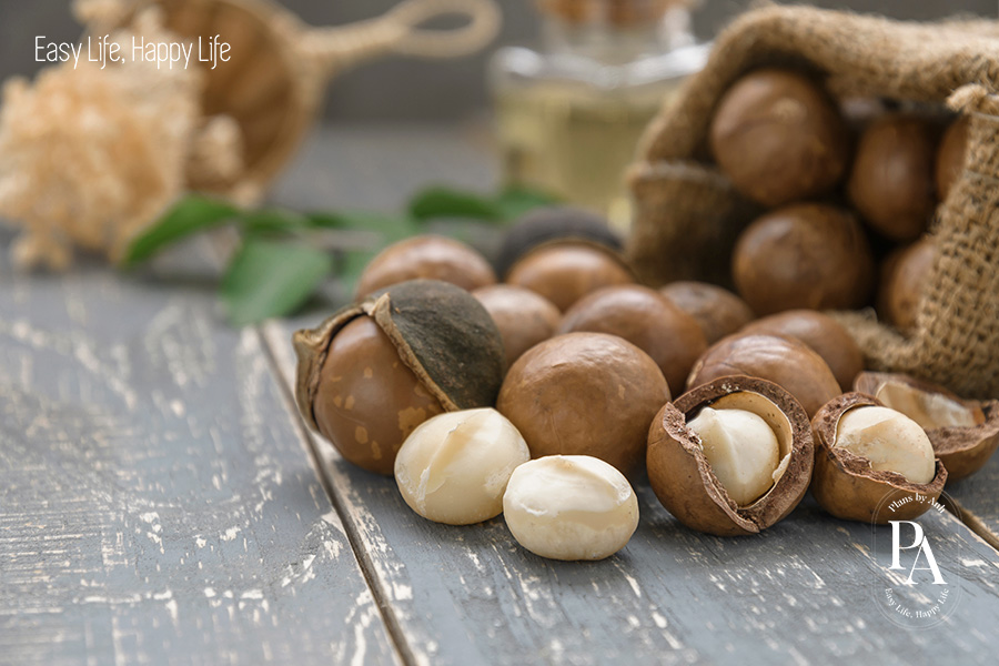 Tổng hợp các loại hạt dinh dưỡng được ưa chuộng nhất hiện nay.