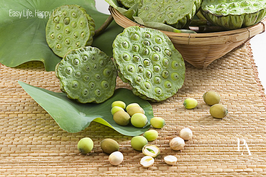 Tổng hợp các loại hạt dinh dưỡng được ưa chuộng nhất hiện nay.