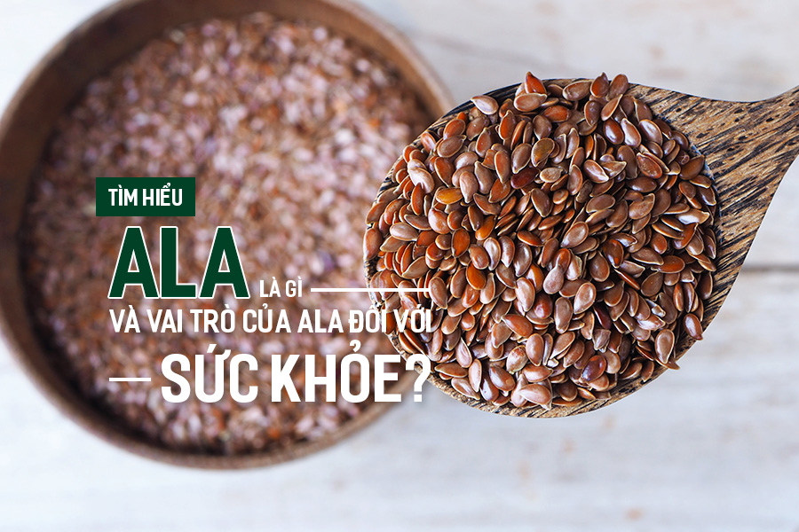 Tìm hiểu ALA là gì và vai trò của ALA đối với sức khỏe?, PlansbyAnh