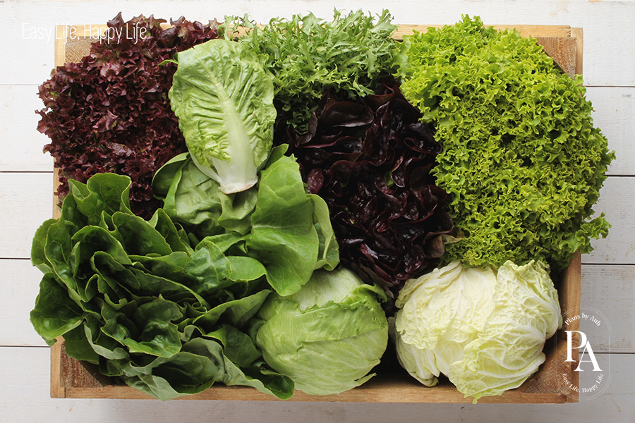 Tìm hiểu Boron là gì và vai trò của Boron đối với sức khỏe?, PlansbyAnh