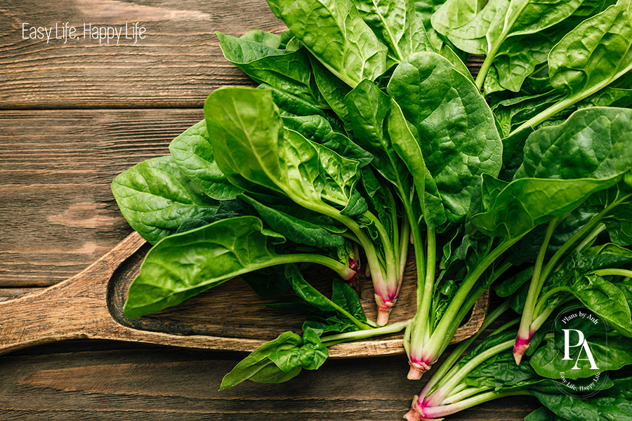 Tìm hiểu Boron là gì và vai trò của Boron đối với sức khỏe?, PlansbyAnh