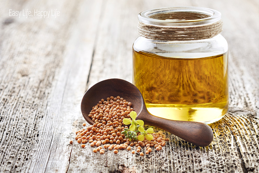 Tìm hiểu chất béo tốt là gì và vai trò đối với sức khỏe?, PlansbyAnh