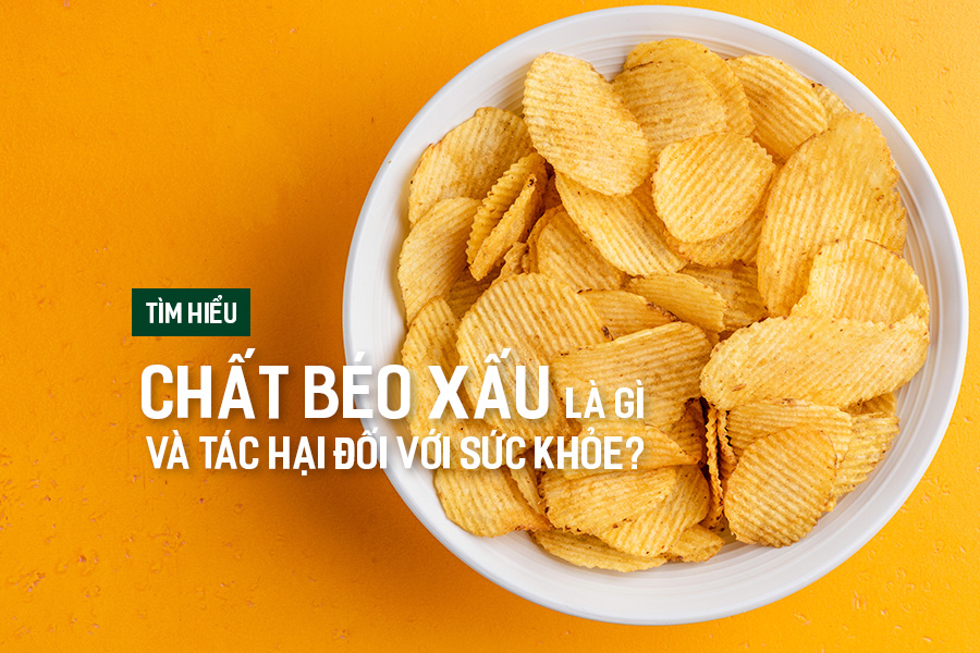 Tìm hiểu chất béo xấu là gì và tác hại đối với sức khỏe?, PlansbyAnh