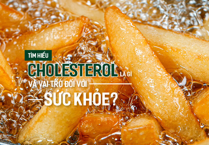 Tìm hiểu Cholesterol là gì và vai trò đối với sức khỏe?