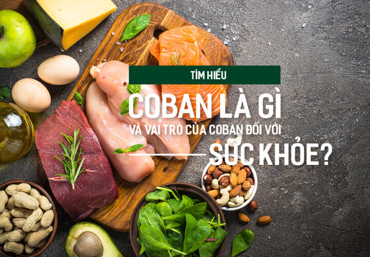 Tìm hiểu Coban là gì và vai trò của Coban đối với sức khỏe?