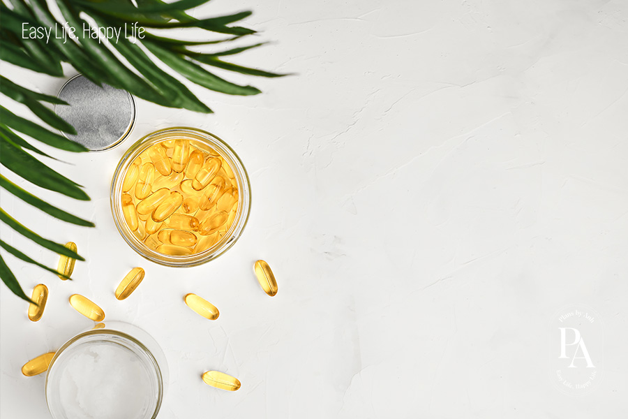 Tìm hiểu DHA là gì và vai trò của DHA đối với sức khỏe?, PlansbyAnh