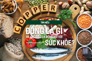 Tìm hiểu Carbohydrate là gì và vai trò của Carbohydrate đối với sức khỏe?, PlansbyAnh