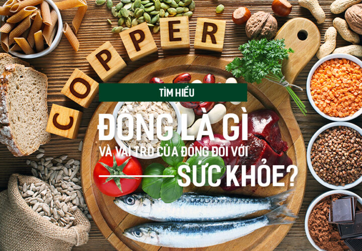 Tìm hiểu Đồng là gì và vai trò của Đồng đối với sức khỏe?