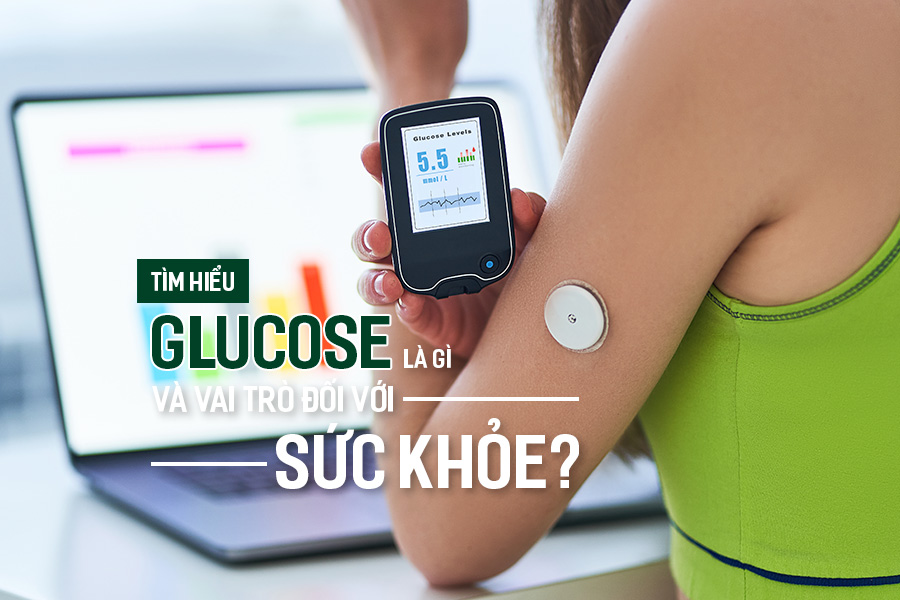 Tìm hiểu Glucose là gì và vai trò đối với sức khỏe?, PlansbyAnh