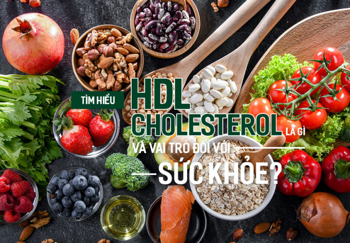 Tìm hiểu HDL-Cholesterol là gì và vai trò đối với sức khỏe?