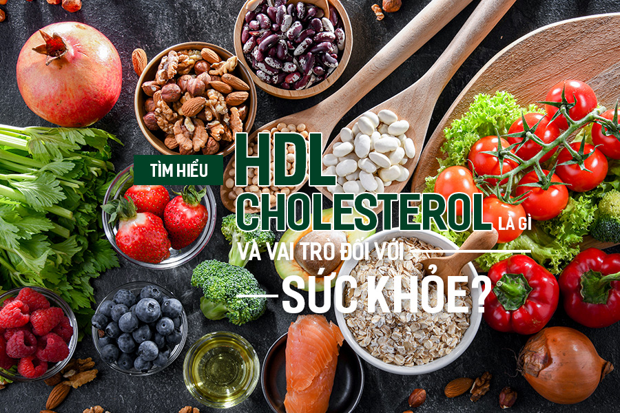 Tìm hiểu HDL-Cholesterol là gì và vai trò đối với sức khỏe?, PlansbyAnh