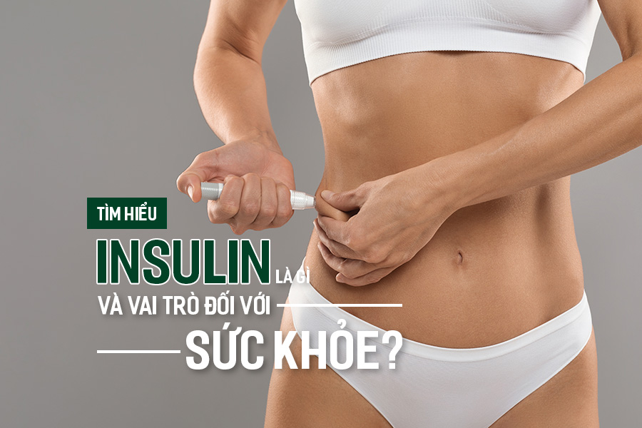 Tìm hiểu Insulin là gì và vai trò đối với sức khỏe?, PlansbyAnh