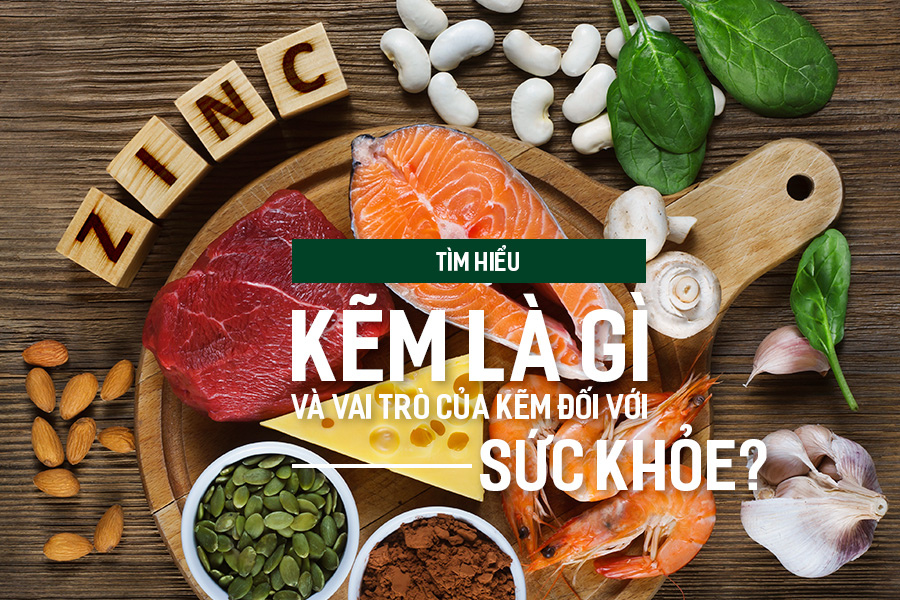 Tìm hiểu Kẽm là gì và vai trò của Kẽm đối với sức khỏe?, PlansbyAnh