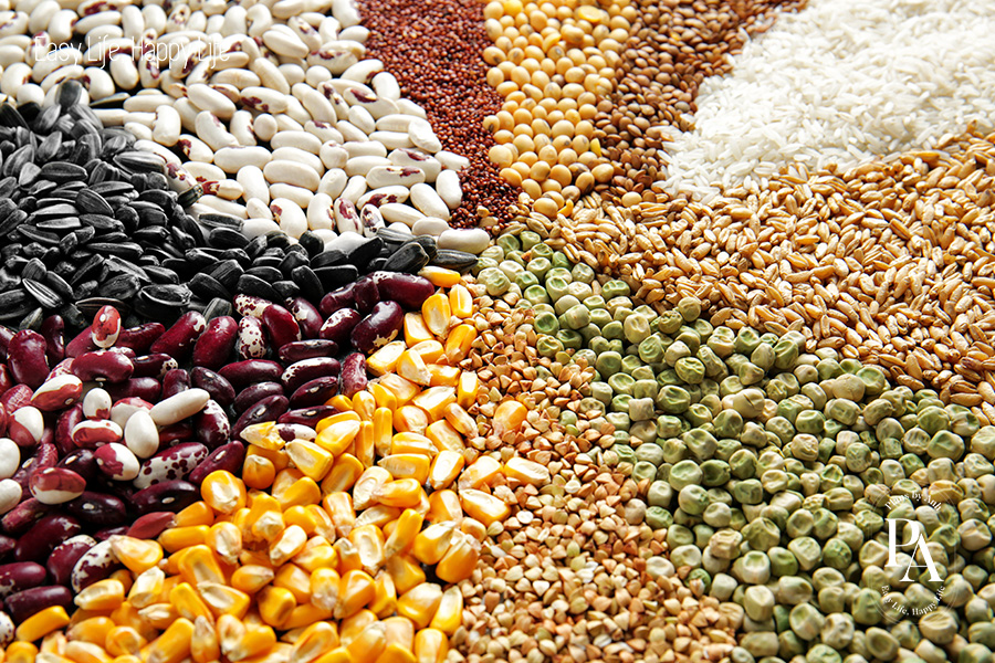 Tìm hiểu Kẽm là gì và vai trò của Kẽm đối với sức khỏe?, PlansbyAnh