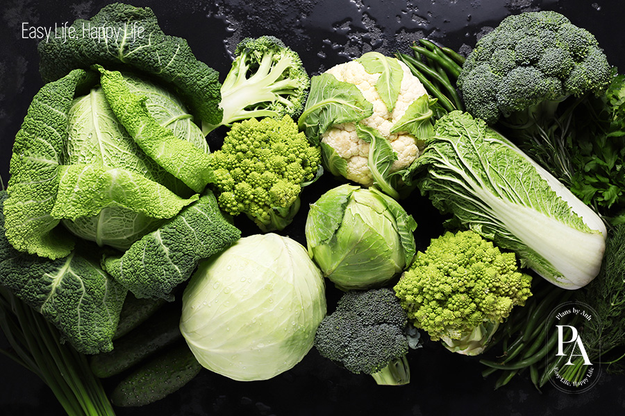 Tìm hiểu Kẽm là gì và vai trò của Kẽm đối với sức khỏe?, PlansbyAnh